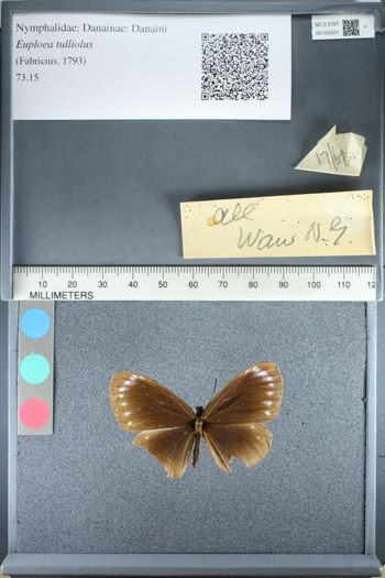 Media type: image;   Entomology 160501
